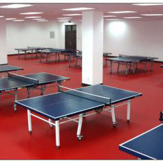 1.8m Lebar Relle PVC Vinyl Meja Tenis Lapangan Lantai Mat untuk Pelatihan